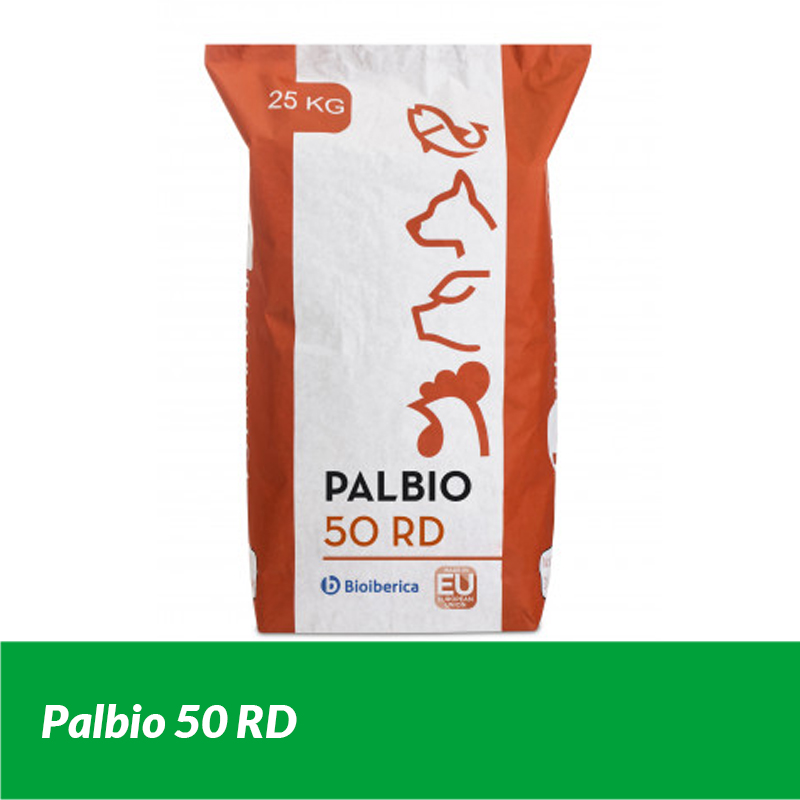 Palbio50RD-3