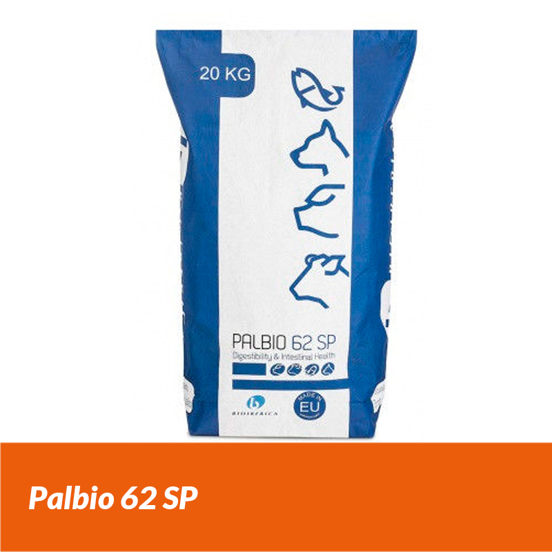 Palbio62SP-2